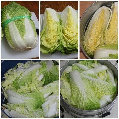 Korean Kimchi 韩国泡菜