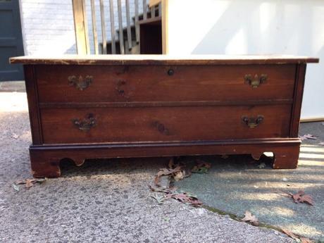 Crazy IMG_2031-0.JPG