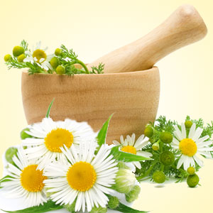 chamomile fragrance