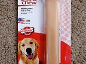 Nylabone Dura Chew Original, Giant