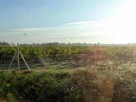 From Blanquefort to Gare Saint-Jean: the view from a suburban train
