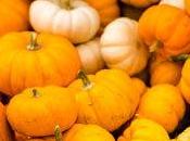 Low-carb Pumpkin Bandwagon