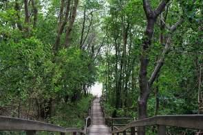 Kap Arkona Kap Arkona