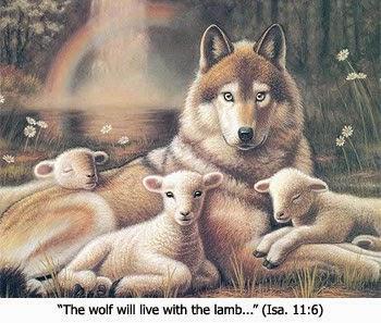 Encouragement for the battle-weary soldiers