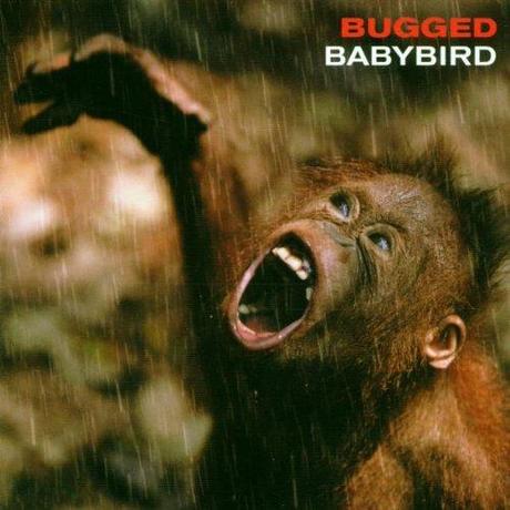 REWIND: Babybird - 'The F Word'
