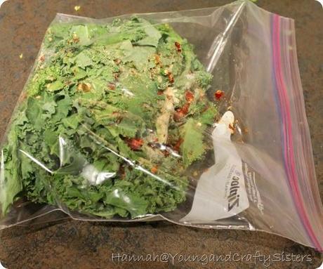 spicy salt and vinegar kale chips 4