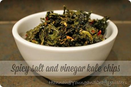 spicy salt and vinegar kale chips