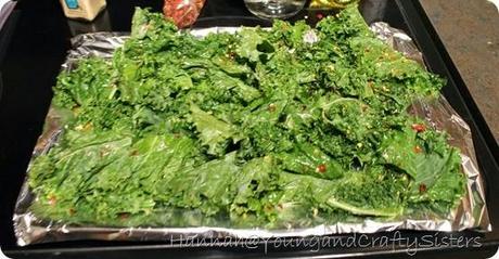 spicy salt and vinegar kale chips 5