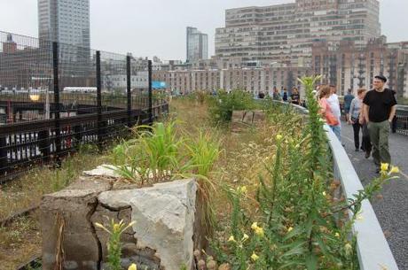 High Line Phase 3 - Existing Ecology Retained with Art Installation