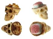 These Tiny Human Skulls Made Chocolate Will Leave Confused