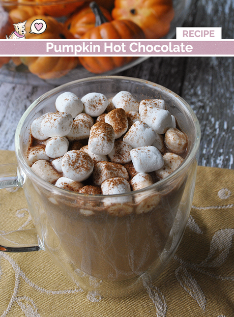 Pumpkin Hot Chocolate Recipe