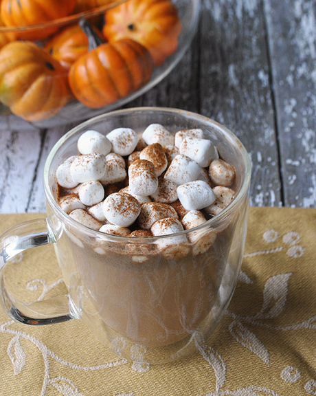 Stovetop Pumpkin Hot Chocolate Recipe