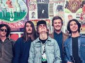 Sink Your Teeth into Jensens’ ‘shark Thunder’ [free Mp3]