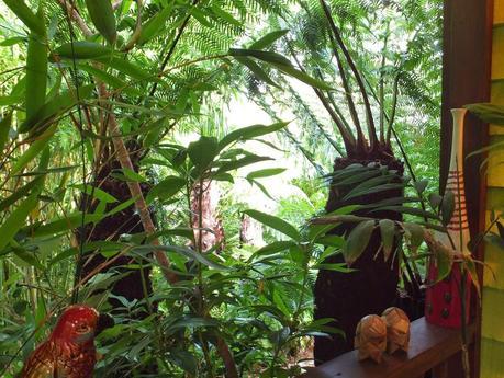 The New Jungle Hut