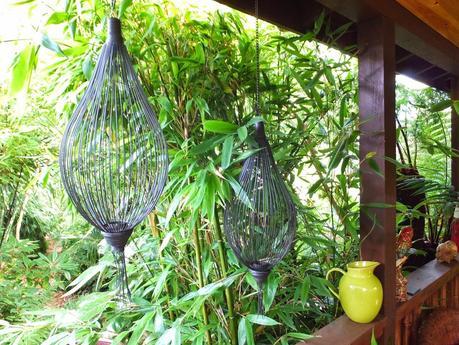 The New Jungle Hut