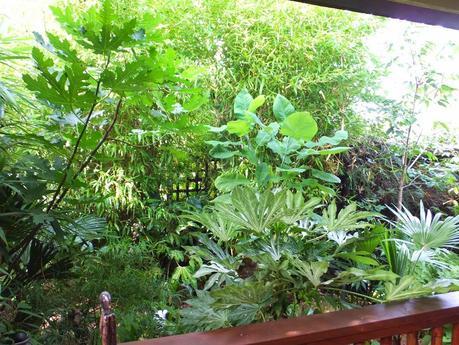 The New Jungle Hut
