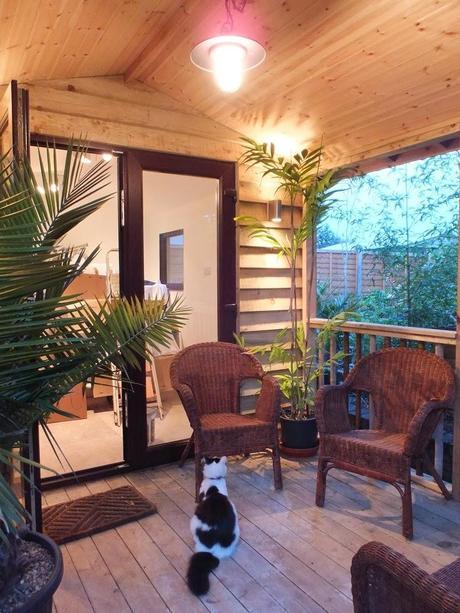 The New Jungle Hut