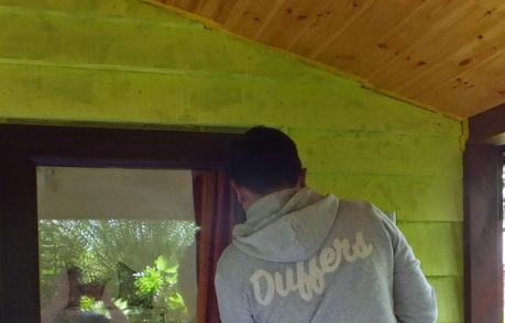 The New Jungle Hut