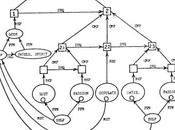 Authority, Trust, Responsibility Education