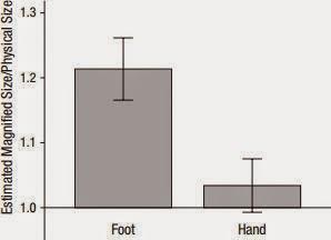 Your hand is not a perceptual ruler