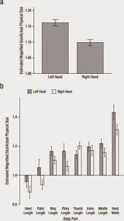 Your hand is not a perceptual ruler