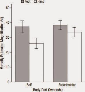 Your hand is not a perceptual ruler