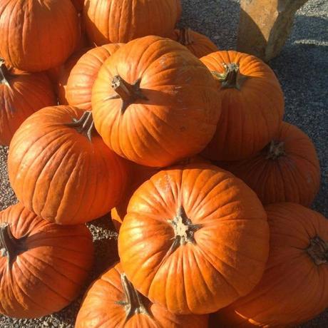 French Basketeers - Fall Foods French Style