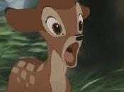 Sorry, Bambi