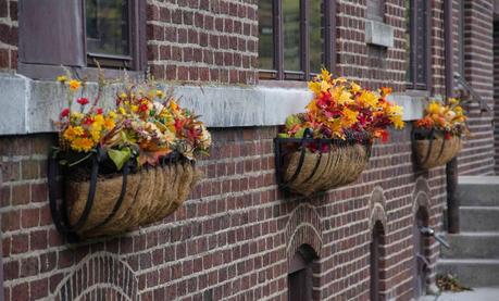 Kelby Worldwide Photowalk