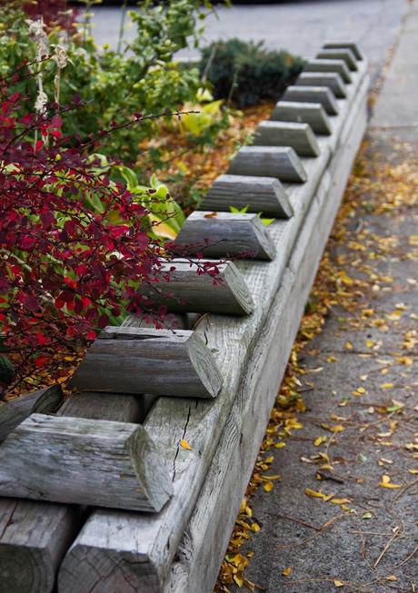 Kelby Worldwide Photowalk