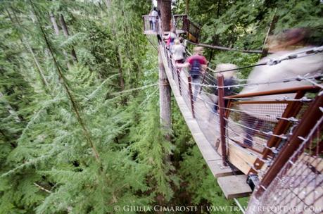The bridges on top of the trees at the Capilano Park... awesome