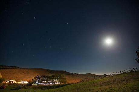 New Zealand Wedding - The Official Photographers - 107