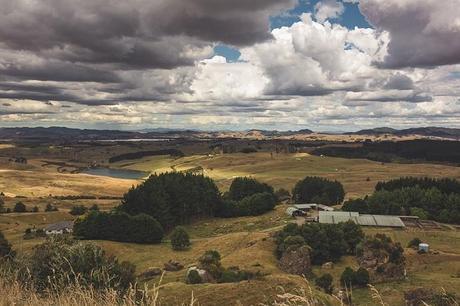 New Zealand Wedding - The Official Photographers - 88