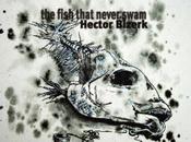 Review Hector Bizerk Fish That Never Swam