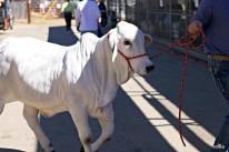 The State Fair of Texas