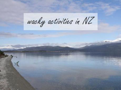 wacky-nz-activities