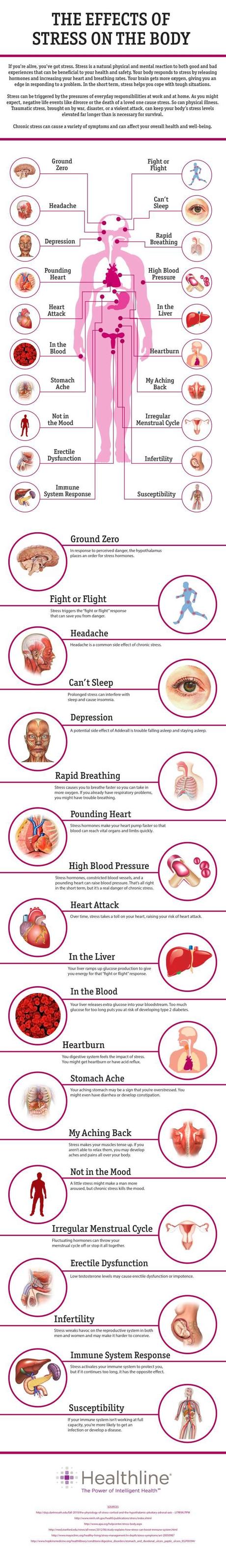 the Effects of  stress on the Body
