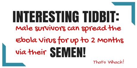 Do You Feel Safe With the Ebola Virus Spreading in the US