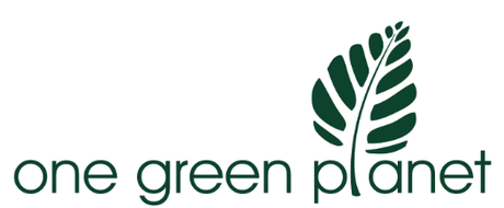 My Articles on How to Cook Different Ethnic Cuisines on One Green Planet OGP-logo