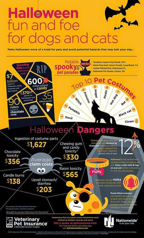 Safety tips: How to keep pets safe from Halloween hazards