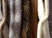 Time Learn About Faux Fur!