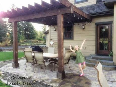 Pergola Vine Ideas - Glamorizing Once Again