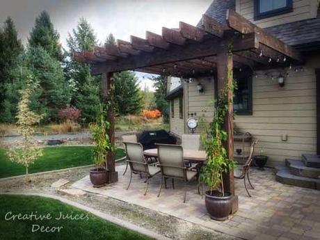 Pergola Vine Ideas - Glamorizing Once Again