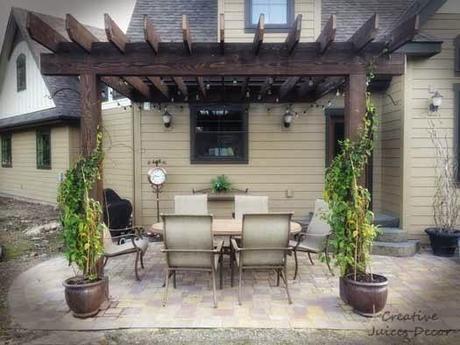 Pergola Vine Ideas - Glamorizing Once Again