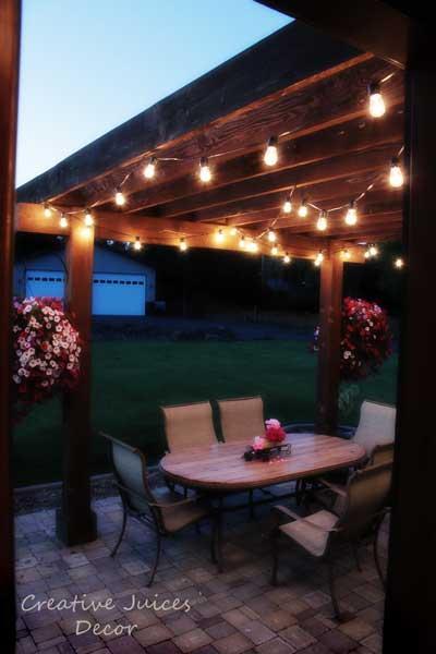 Pergola Vine Ideas - Glamorizing Once Again