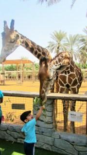 Visit to Emirates Park Zoo, Abu Dhabi