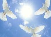 Sunday Devotional: Lord, Your God”