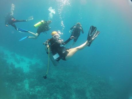Two Years as a Scuba Diving Instructor in Paradise