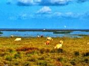 Number Bird Watching Spot Finland