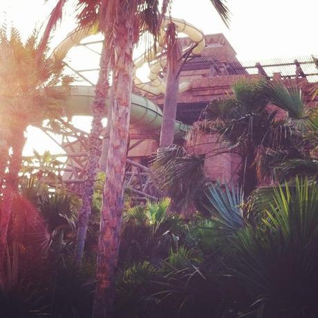 Lovely foliage everywhere